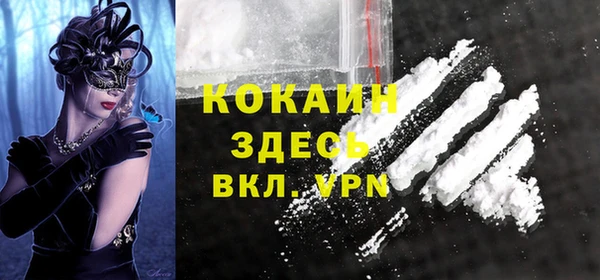 мет Алексин
