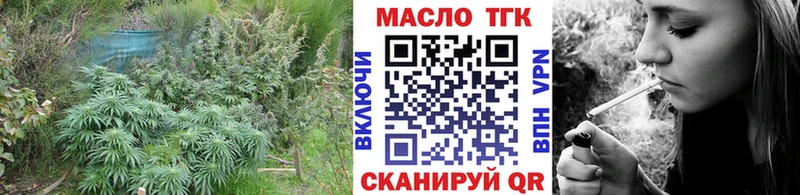 даркнет какой сайт Заводоуковск ТГК гашишное масло