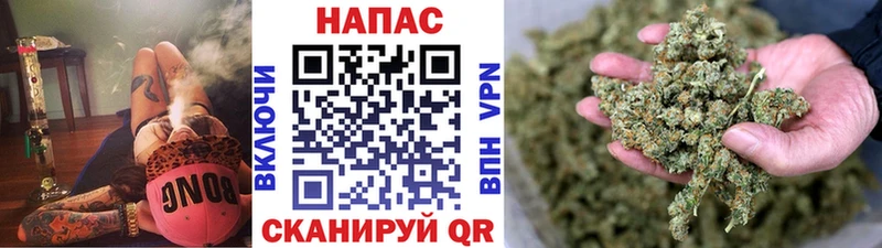 купить  цена  Заводоуковск  Каннабис Amnesia 