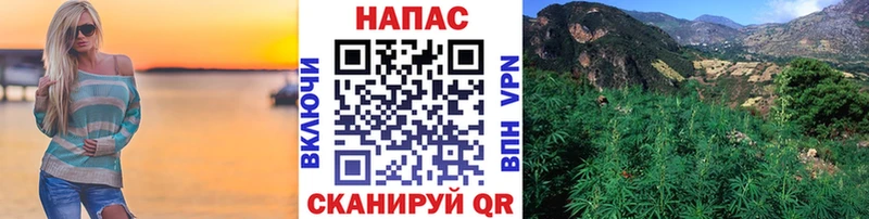 Бошки Шишки планчик Заводоуковск
